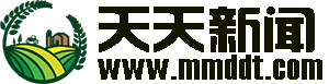 天天新聞網(wǎng)
